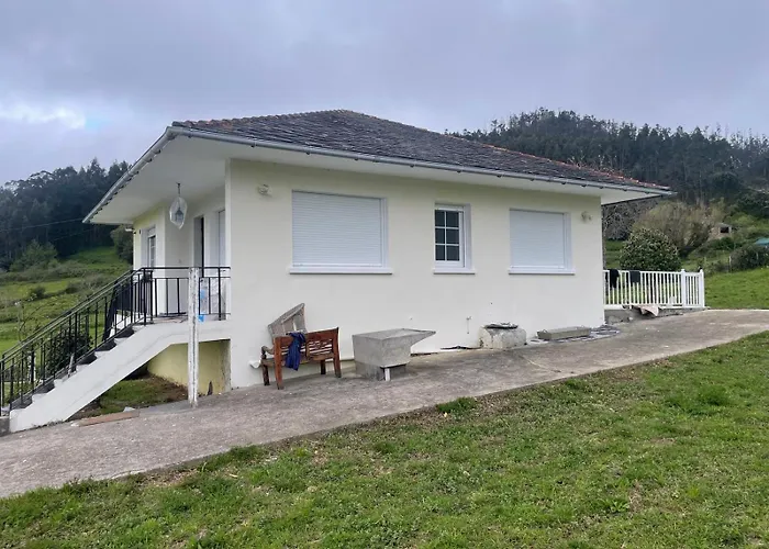 Camelias ア・コルーニャ