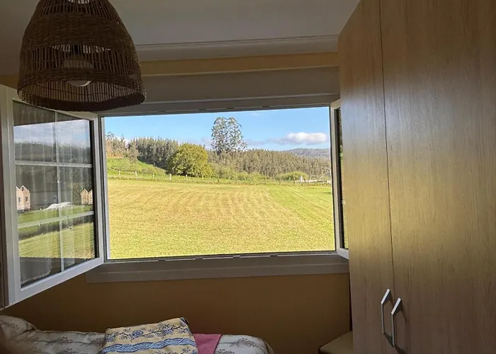 Camelias * ア・コルーニャ